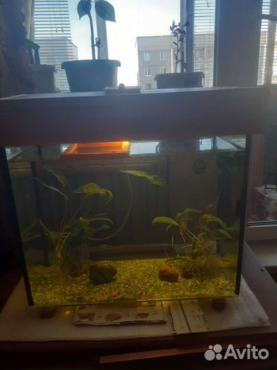 Аквариум террариум на заказ