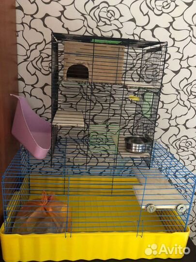 Клетка для шиншиллы