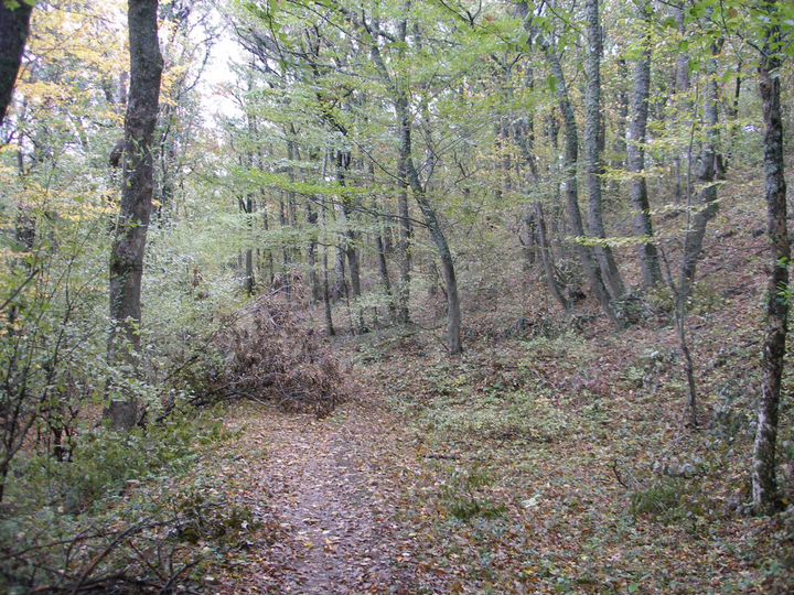 Участок 45 сот. (ИЖС)