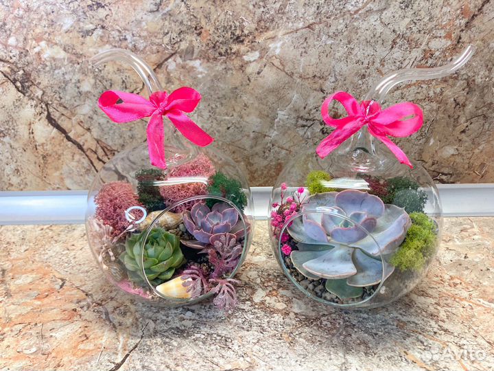 Флорариум ваза цветы букет подарок суккуленты