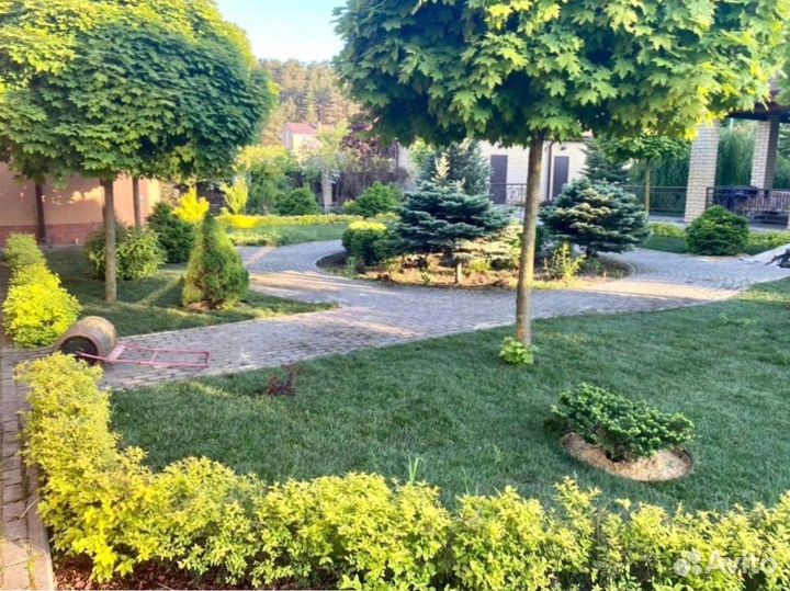 Укладка рулонного газона - 100 мятлик