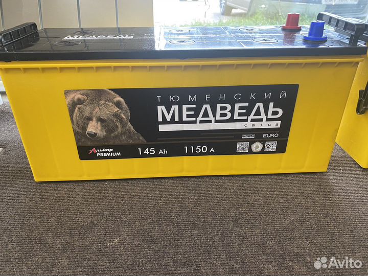 145 a/h Тюменский медведь