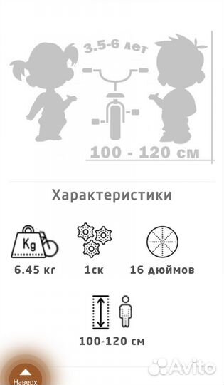 Велосипед Beagle 116