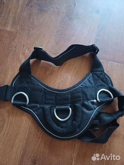 Шлейка для собаки пит буль ам буль стаффорд