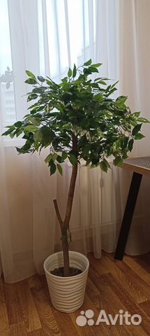 Дерево искусственное Фикус 125 см, натур ствол