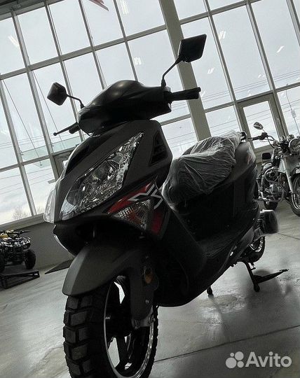 Скутер motoland (мотоленд) paladin sport 200 (150)