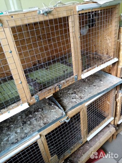 Клетки для бройлеров бу