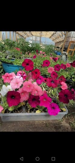 Дом 65 м² на участке 100 сот.