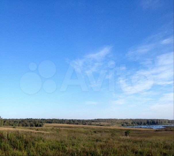 Участок 4 га (СНТ, ДНП)