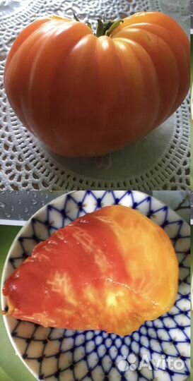 Редкие коллекционные сорта томатов