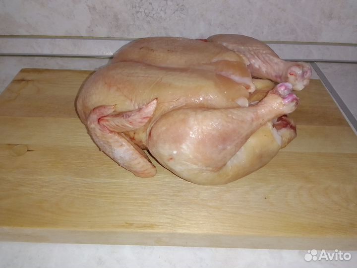 Мясо домашней курицы бройлеров