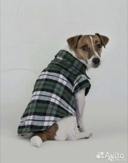 Новая рубашка для собак и кошек, р.S