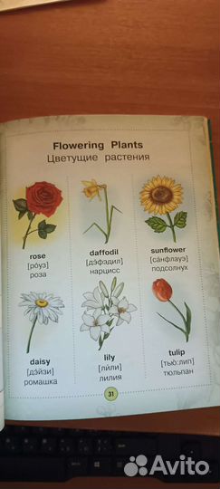 Англо-русский визуальный словарь с транскрипцией