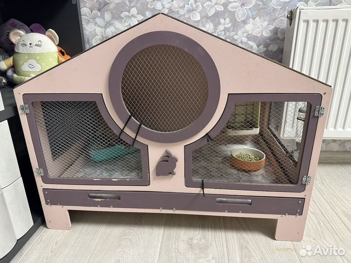 Декоративные кролики минилоп