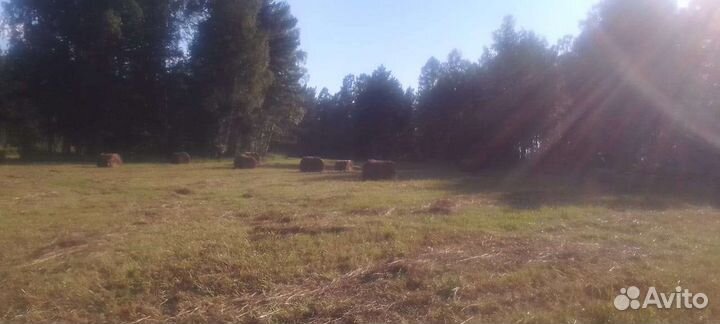 Сено в рулонах