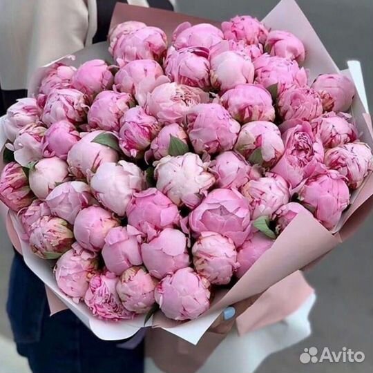 Пионы доставка