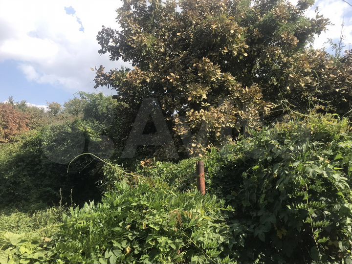 Участок 5 сот. (СНТ, ДНП)