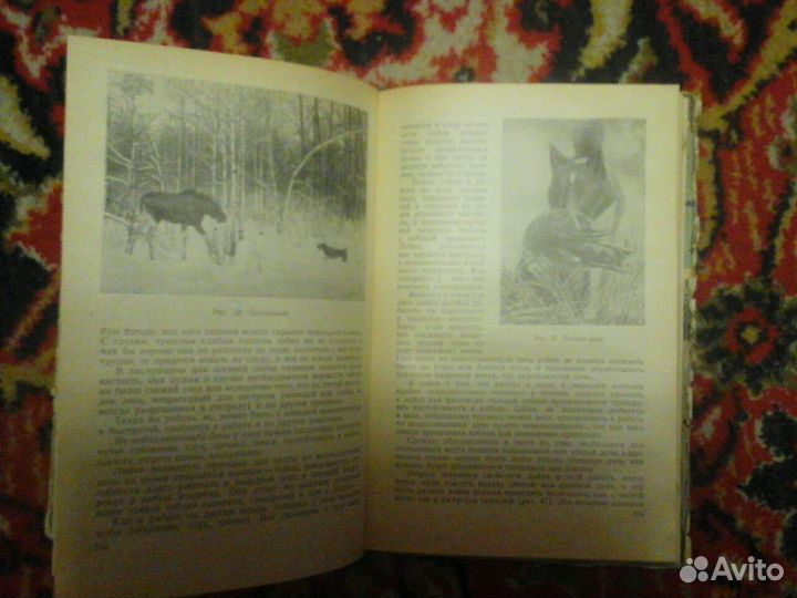 Пособие по охотничьему собаководству