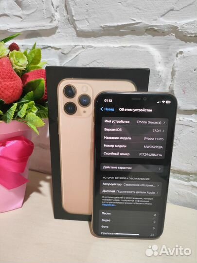 iPhone 11 pro
