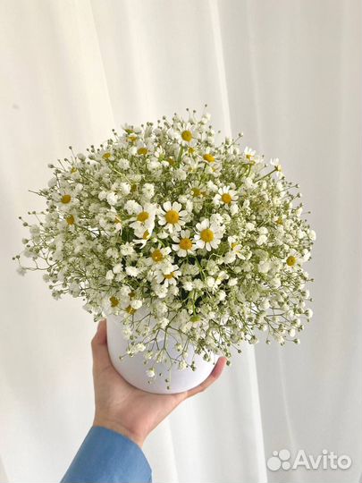 Букет из гипсофилы и ромашки в шляпной коробке