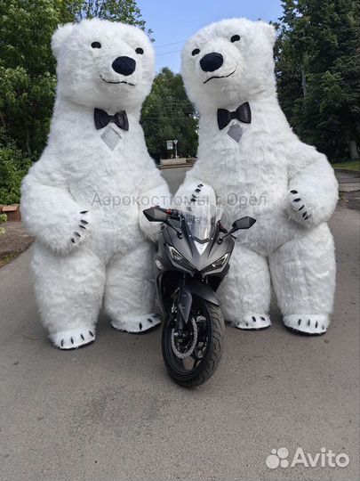 Красивый надувной медведь 2,6м Новый костюм