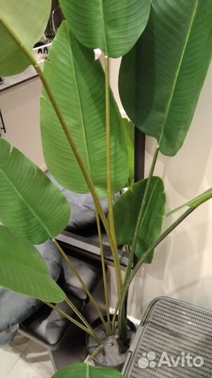 Искусственные цветы в горшках