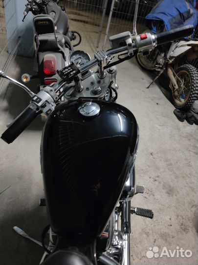 Honda steed