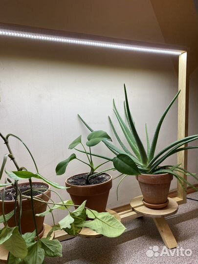 Подставка для цветов напольная деревянная