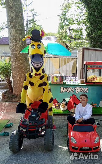 Белый мишка поздравление Сочи/ аниматоры / аренда