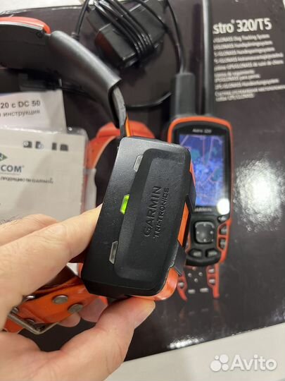 Навигатор Garmin Astro 320 с ошейником T5
