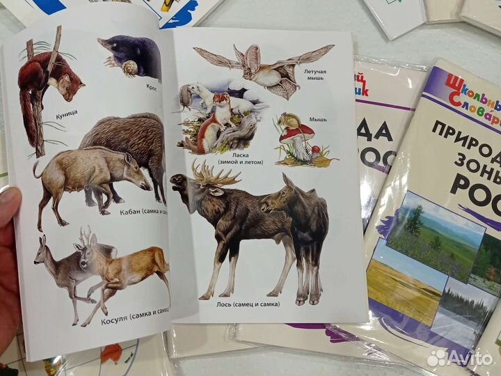 Набор новых энциклопедий в упаковке