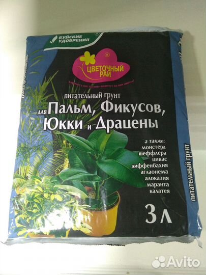 Грунт для пальм