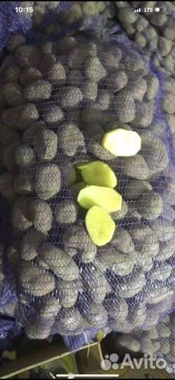 Продам картофель,овощи с доставкой от 5 кг,сенчик