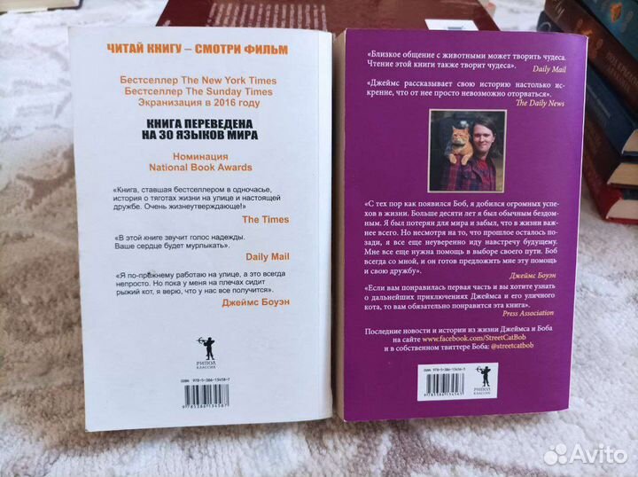 Уличный кот по имени Боб, Джеймс Боуэн