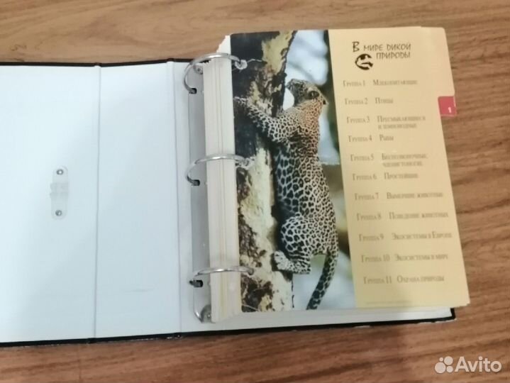 Книги про животных