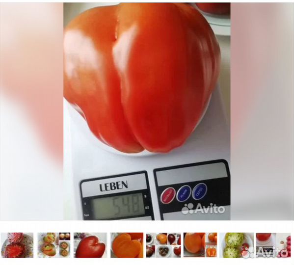 Семена томатов