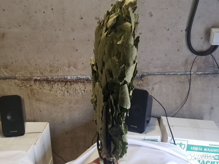 Веники дубовые