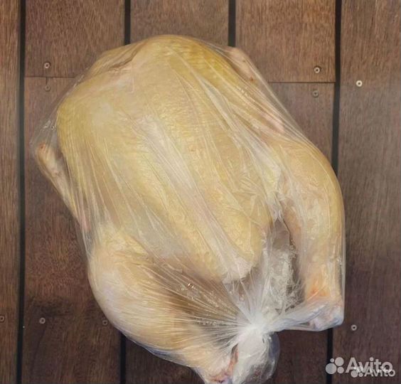 Домашние куры бройлеры
