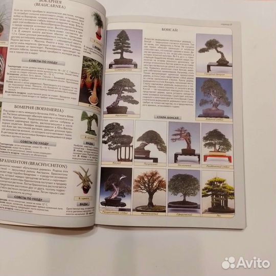 Книга Новая Ян Ван Неер Всё о комнатных растениях