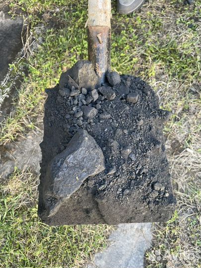 Уголь каменный