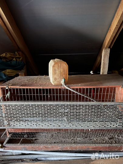 Клетка для птиц перепелов