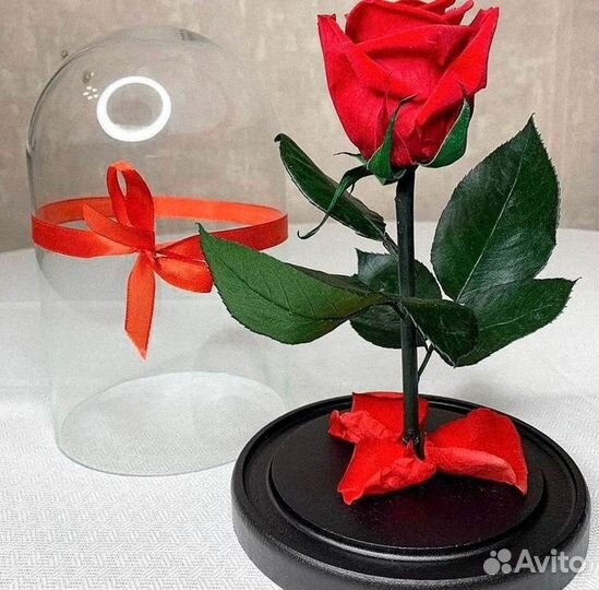 Роза в колбе