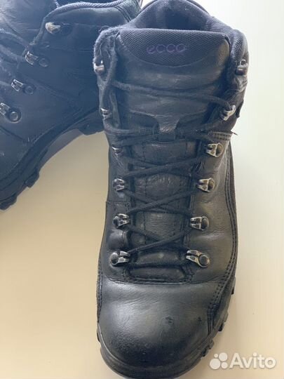 Ботинки ecco оригинал