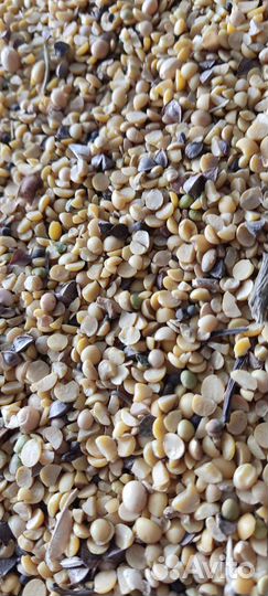 Корма для сельскохозяйственных животных