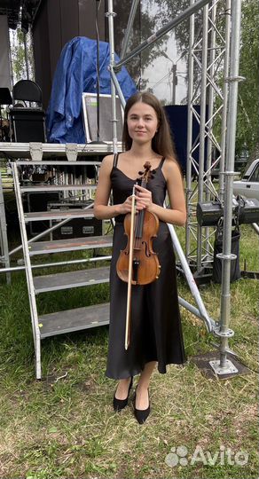 Скрипка на праздник, свадьбу