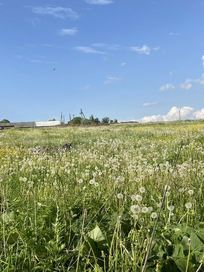 Дом 15 м² на участке 40 сот.