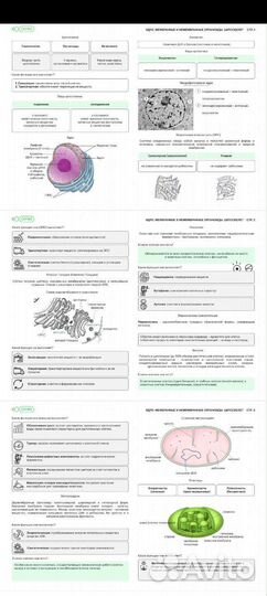 Конспекты егэ