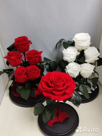 Подарок на новый год/ Роза в колбе