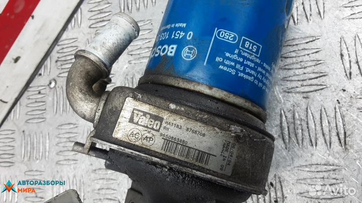 Корпус масляного фильтра бензиновый Peugeot 307