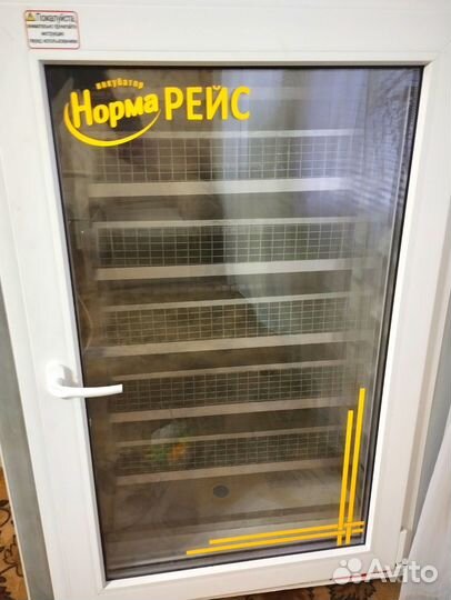 Инкубатор норма рейс